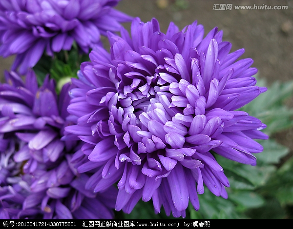 图片 20.png